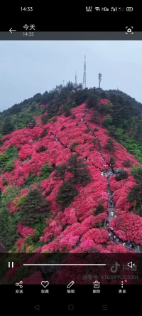欢迎到我的家乡来看杜娟花，正是季节时，等你哦，全程陪导????配图