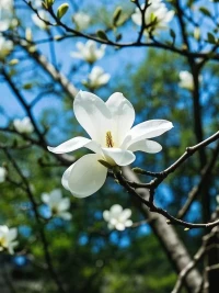??自信不是“他們會(huì)喜歡我嗎？”，自信是“即使他們不喜歡我也沒(méi)關(guān)系。”配圖