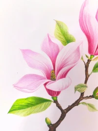 🔅ʍօʀռɨռɢ ☼ (˘͈ᵕ ˘͈❀) ♡ ༘⋆
心怀希望，万物晴朗🌼
一切美好都已在路上🌈配图