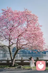 ?#心理學(xué)小知識
生活總有些時刻，情緒像打了結(jié)的毛線團，別怕！這些超實用的心理學(xué)小方法，能幫你快速找回內(nèi)心平靜?

1?? 情緒暫停鍵：當(dāng)憤怒上頭時，在心里默數(shù)6秒? 大腦邊緣系統(tǒng)冷靜后，再開口溝通，80%的爭吵都能避免??

2?? 鏡像神經(jīng)元魔法：對著鏡子做個超夸張笑臉?? 哪怕是假笑，大腦也會分泌多巴胺，壞心情自動退散！

3?? 五分鐘整理術(shù)：被焦慮淹沒時，立刻起身整理桌面/疊衣服?? 重復(fù)機械動作能激活前額葉，焦慮感瞬間減半！

4?? 自我關(guān)懷對話：把內(nèi)心吐槽換成溫柔對話?? “辛苦啦，我知道你盡力了”，比任何雞湯都管用！

5?? 視覺化橡皮擦：睡前閉眼想象，把煩惱畫成氣泡?? 看著它們飄走消失，一夜好眠不是夢～配圖