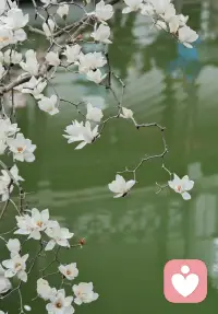 🌺正确地评价自我，是通往心理健康与个人成长的核心路径。它并非简单地给自己贴上“好”或“坏”的标签，而是一个持续进行的、充满觉察的动态过程。

一个能够正确评价自我的人，首先具备清晰的自我觉察能力。他们像一位冷静的观察者，能够相对客观地审视自己的优点与不足，既不刻意放大，也不刻意忽略。这种觉察建立在事实依据之上，而非源于内心的恐惧或扭曲的认知。其次，他们懂得如何整合外部反馈。他们会参考他人的评价和社会的标准，但不会将其奉为绝对真理，而是经过自己的独立思考与过滤，吸收有价值的建议，摒弃不合理的批评。

更重要的是，正确的自我评价深植于“成长型思维”之中。他们相信能力可以通过努力提升，因此不会因一时的失败而全盘否定自我价值，也不会因成功而固步自封。他们将挑战视为学习的机会，将挫折看作有价值的反馈。最终，这导向一种稳定而灵活的自我认同：既能肯定自身价值，保有基本自信，又能开放地接纳不完美，并拥有持续完善的动力。这是一种在“自我接纳”与“自我超越”之间找到的宝贵平衡。配图