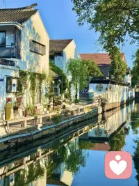 🌺早安！愿你今天像太阳一样活力全开，好运满格，笑容常伴！🌞配图