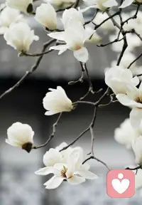🌺愿阳光洒满你的每一天，笑容常伴，好运相随。保持热爱，奔赴山海，快快乐乐勇往直前！祝大家天天开心～ 🌟配图