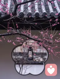 🌺✨#心理学小知识
【赔偿效应 🌀：指的是当一个人在某一方面感觉到不足时，会通过在其他方面取得成就或获得满足感来弥补这一不足。】

➡️ 如何运用赔偿效应 ⚖️

🌱 发现兴趣：积极探索和发现自己的兴趣和爱好，拓展生活的多样性。

🧘 自我反思：通过自我反思，认识自己的优势和不足，并寻找合适的补偿途径。

💬 寻求支持：与他人交流和分享自己的经历，寻求支持和鼓励，增强应对挫折的能力。配图