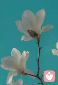 ? 心理學小知識
做事總半途而廢？3 個技巧助堅持！

?? a. 目標拆分法
把 “減肥 10 斤” 拆成 “每周瘦 1 斤”，再細化為 “每天走 30 分鐘”— 大目標拆成小步驟，降低放棄門檻。

?? b. 進度打卡法
準備打卡本，每天完成任務后打勾，周末看打卡記錄 — 用可視化的進度，激發持續堅持的動力。

?? c. 困難預判法
提前想 “可能遇到的阻礙”，比如 “沒時間運動就早起 10 分鐘”— 做好應對準備，減少因突發狀況放棄的可能。

?提醒：半途而廢不是 “沒毅力”，而是沒找對堅持的方法，小步驟 + 巧準備，就能慢慢養成習慣～配圖