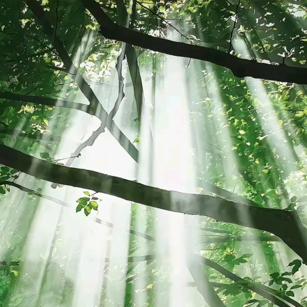 森嶼
