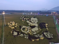 “草色遙看一片青，近瞧卻無幾根莖...”
很多時候美好的東西只有保存在想象里遠遠觀望
它才能一直保持住那份美好配圖
