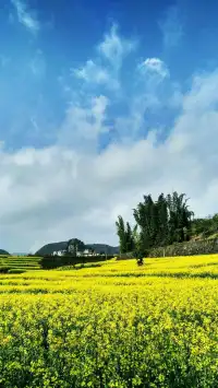 最痛的遗憾不是“我做不到”
而是“我本可以”