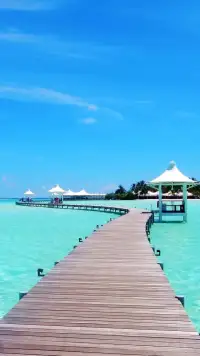 別人的評價往往基于他們的個人經歷、偏見或情緒，并不能定義你的價值。就像有人討厭檸檬，不代表檸檬不好，只是口味不同。另外認清別人眼光的真相，要明白別人其實沒那么多時間關注你，心理學中的“聚光燈效應”表明，人們往往會高估他人對自己的關注度。事實上，每個人更在意的是自己，你的行為在別人眼中可能轉瞬即逝~配圖