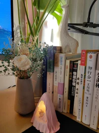 需不管多难，你需要为自己营造一个能量蓄力池，保证你的正念帮你度过困难时刻