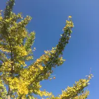 一个女人如何让自己越来越厉害？

第一，你不要管别人怎么看你！
永远把主要的时间和精力放在自己身上，因为能够让你变厉害的，只有你自己！你可以爱孩子，可以爱老公，但他们绝对不是你生活的全部。

第二，学会忍耐和克制，学会管理自己的情绪！
不要逢人就说你的委屈，也不要把不满挂在脸上，没有那么多人能理解你，你要学会合理的发泄情绪和控制调整情绪。

第三，一定要远离，总是否定你的人。
记住这一点哦，这种人其实就是在限制你的成长。无论他是多么亲近的人，打着多么为你好的名义，你都要远离。就像……
很多男人说什么：你这个脾气啊，除了我之外，还有谁能受得了你啊！他的目的就是让这个女人觉得自己不够好，除了这个男人别人都不会要他，这样这个男人就能更好的控制这个女人了！所以跟这种总爱否定你的人在一起，你就会变得不自信。那这种人一定要尽快远离，就像……

黄渤说的一句话，人在最弱的时候，坏人真的很多，生活不会因为你的哭泣而对你温柔。这个世界对你温柔，来自于你的强大。