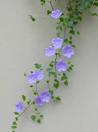 问:我这个问题能不能解决？
一般根本原因不在于这个问题，它只是一个触发点。
即便这个问题解决了，下次遇到类似的情况，依然引发同样的情绪。