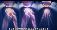 不必急着把情绪捏成形状，  
混沌、模糊、反复都合理。  
我愿做透明容器，  
盛放你所有未命名的心情。  
允许卡顿，接纳倒带，  
暗涌里藏着自我更新的潮汐。  
私信我，陪你在迷雾中静坐，  
等风把答案吹成可见的彩虹。配图
