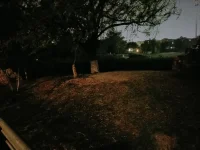 下雨后的寧?kù)o，超級(jí)治愈配圖