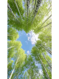 当世界纷纷扰扰，记得回归自我的小宇宙。为自己煮一杯香茗，静享午后暖阳，爱自己，是给自己忙碌生活按下的温柔暂停键，在自爱的怀抱里，重寻内心的安宁与力量。配图