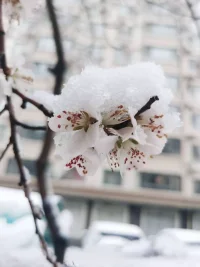 不必羡慕他人的笑容，你的泪水同样珍贵且真实。配图