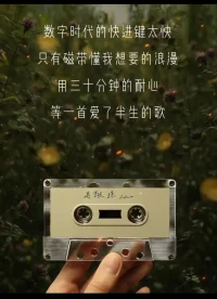 有时候  你需要的是慢下来配图