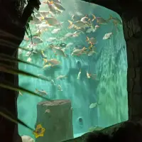 许多事不是想明白之后才能无所谓，而是无所谓之后才能想明白。       配图