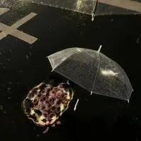 任何人和事,時間終會給我們答案,在細水長流的日子里我們不說永遠,只說珍惜配圖