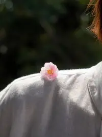 允許一切發生，
生活不過見招拆招。
風來隨風，雨來聽雨， ?
把無常過成尋常。 ?
有人理解是我之幸， ?
無人理解淡定獨行； ?
這世界本就如人飲水， ?
冷暖唯有自知。 ?配圖