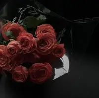 話要說給懂的人聽，路要與同頻的人同行。
不能互相理解，那就互相遠離，
獨立和不怕失去，才是最好的底牌。配圖