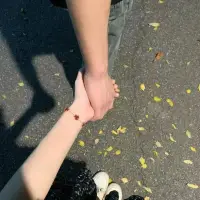 你永遠不知道，
我抱著手機等你消息，是什么感覺，
你永遠不懂，我那滿懷期待的樣子，
有多心酸、多無助、多可憐。配圖