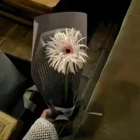 格局小的人，喜歡詆毀和嫉妒
因為我不好，我也不想讓你好
格局大的人，都懂得一個道理
強者互幫，弱者互撕，
人性最大的愚蠢就是相互為難配圖
