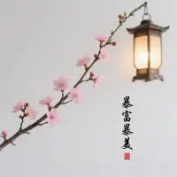 站在属于自己的高度，
去看自己该看的风景 。
不要羡慕任何人，
想要什么自己争取，
吃过苦、尝过甜，想想还是得赚钱