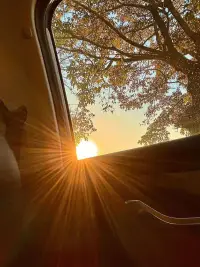 .??????????????????
?“自己才是這細(xì)碎生活里唯一的光”配圖