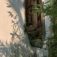 慢品人间烟火色，闲观万事岁月长，日子淡，好在我喜欢💕