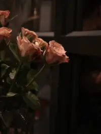 最好的狀態，當是以出世之心做入世之事，既陪世界演戲，又給自己留座，做自己的主角，也做自己的觀眾