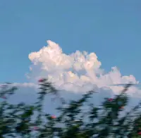 ?。?????????? ???????? ????.。?
不討好風月，只忠于晴雨慢慢理解世界 慢慢更新自己配圖