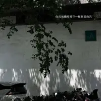 你若懂,无需千言万语,你若不懂,千言万语也道不尽