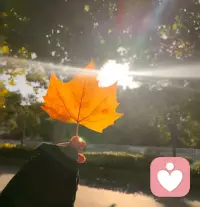🌿生活最好的状态
就是人静  物简 心安✨配图