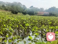 窮算命運富燒香
顛顛倒倒問陰陽
十人燒香九為財
又有幾柱真香來
都是黃泉預(yù)的客
何苦為難每一天
若是做好份內(nèi)事
何須鬼神賜良方