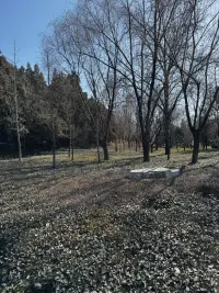 心里是自己和自己较量的一个过程，谁都有想不明白的时候，你有我也有，你需要的只是一个可以倾听的我，只要你需要，我一直都在配图