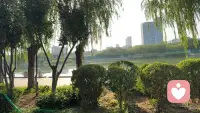 就這樣靜靜的躺著，腦袋放空，感覺自己可以飄起來