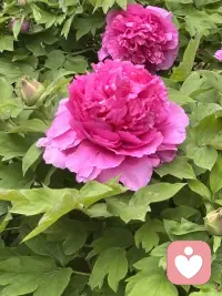 每个人心里都藏着没出口的疲惫，你可以放心倾述，我认真聆听。配图