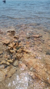 在情绪高潮与低谷之间，为自己划定缓冲地带——可以是抚摸旧书皮纹的五分钟，或是观察蚂蚁搬运面包屑的专注时刻。生态心理学指出，这种**阈限空间体验**能重启被压力关闭的默认模式网络，让心灵恢复自然节律。