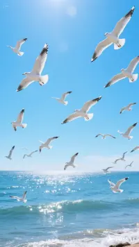 記錄每日的“心靈濕度計”（眼淚次數(shù)）、“思維風速”（念頭流轉速度）。格式塔學派認為，**量化觀察**能將混沌情緒客體化。當你在日記寫下“今日抑郁濃度6/10，比昨降2分”，便是奪回情緒定義權的開端。配圖