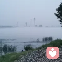 把最暗的記憶封入「心理琥珀」——用金箔包裹舊傷照片，將悔恨語句譜成小調。創傷治療中的**負能轉化法則**揭示：當痛苦被精心封裝，便會如放射性元素般釋放治愈射線。配圖