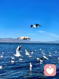 焦虑常常是把“未来的不确定”当成了“现在的危机”。请轻轻地把思绪拉回此刻，感受双脚踩在地面的踏实。真正的力量，只在你能呼吸的这一个当下。未来，会从每一个安住的“现在”里自然生长出来。配图