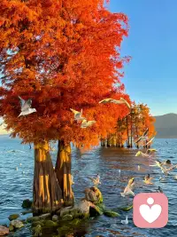 别人的花园再繁盛，也无法滋养你的根。每个人的花期和土壤都不同，你唯一的任务，是照料好自己这独一无二的种子。停止比较，是把你夺走的能量，一点一点还给自己。配图