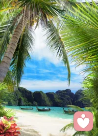 夜晚的思绪常会放大细节，把小事变成怪兽。当脑海开始重播，请轻轻对自己说：“停，我们等到白天再处理。”然后，把注意力温柔地拉回呼吸，或者一个中性的事物（比如数数窗帘的花纹）。你的睡眠，比所有“复盘”都重要。配图