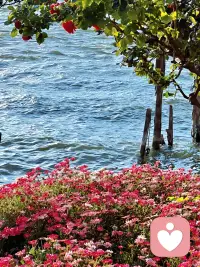 麻木有时是心灵在高压下启动的“保护模式”，不是感受消失了，而是被暂时冻结了。不必强迫自己立刻“有感觉”，可以从温和的感官刺激开始：摸一摸毛绒玩具，闻一闻橙子的香气。像解冻一样，慢慢地、耐心地，唤醒感知。配图