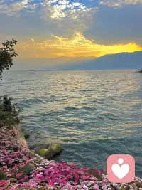 疗愈常是润物无声的细雨，而非一道闪电。真正的改变，常发生在你忘记“要改变”的时刻。像照料植物一样照料自己：给予耐心，相信时间，然后某天你会发现，新芽已悄然萌发。配图