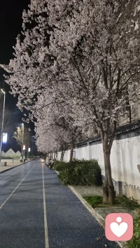 春风十里，不及相遇有你，
晴空万里，不及心中有你