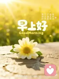 早上好！！配图