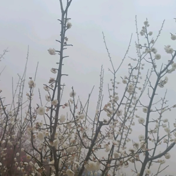 月月老师