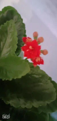 爱一直在决定我们的生活。
活在自爱世界里的人，大部分是基于安全感与价值感做决策，背后是控制和证明。其人生不是控制就是证明。
活在他爱世界里的人，大部分是基于接纳，欣赏与自由做决策，背后是给予和自信？其人生注定是富足的。配图